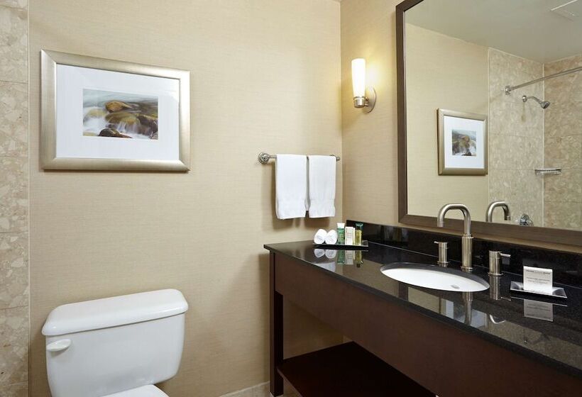シングルデラックスルーム, Hilton Saint John