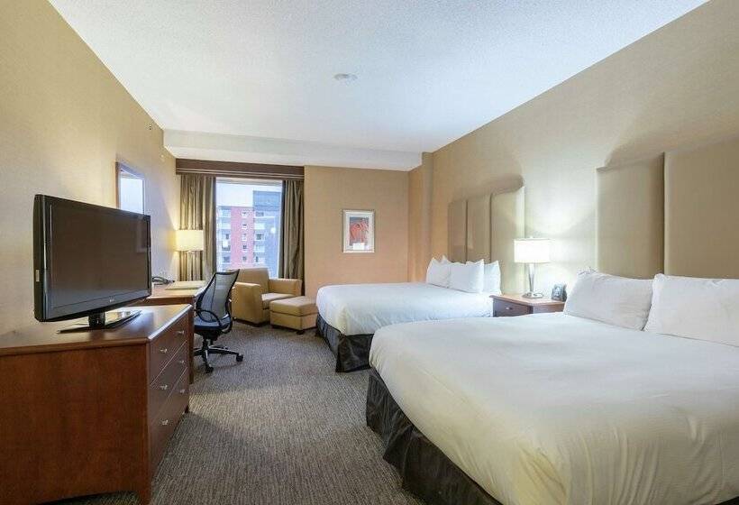 シングルデラックスルーム, Hilton Saint John