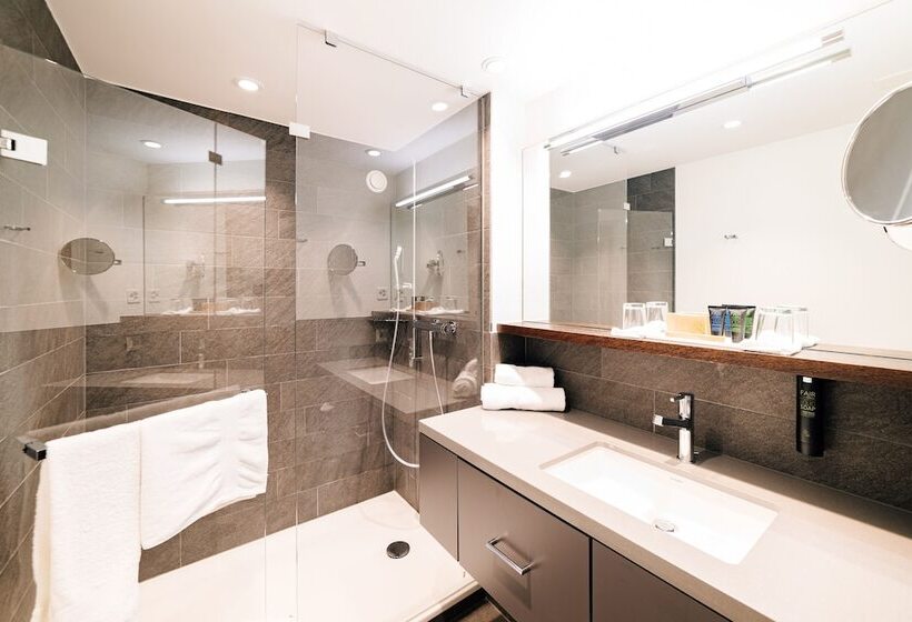 Номер Deluxe, Park Hotel Winterthur