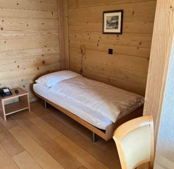 اتاق استاندارد یک نفره, Saanerhof