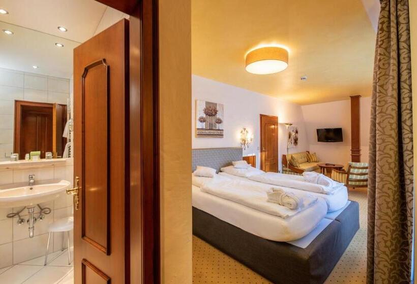 Номер Стандарт, Romantik Hotel Stryckhaus