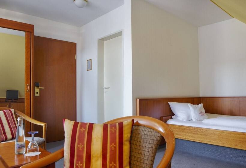 Номер Стандарт Индивидуальный, Invite Hotel Löwen Freiburg
