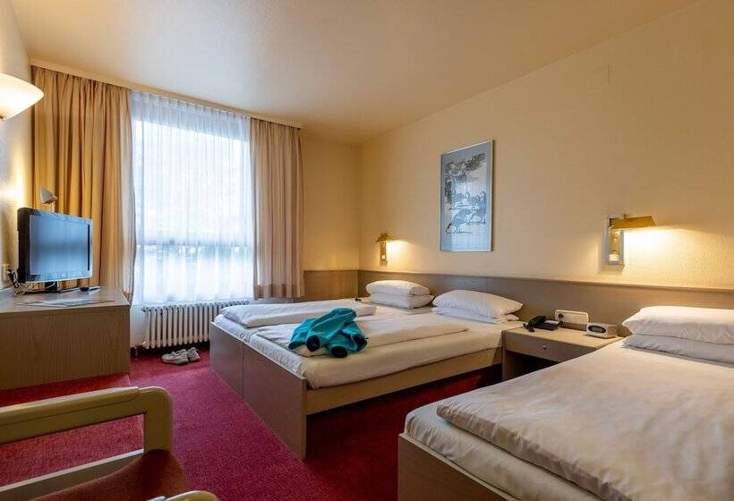 Номер Стандарт Трехместный, Baden Baden