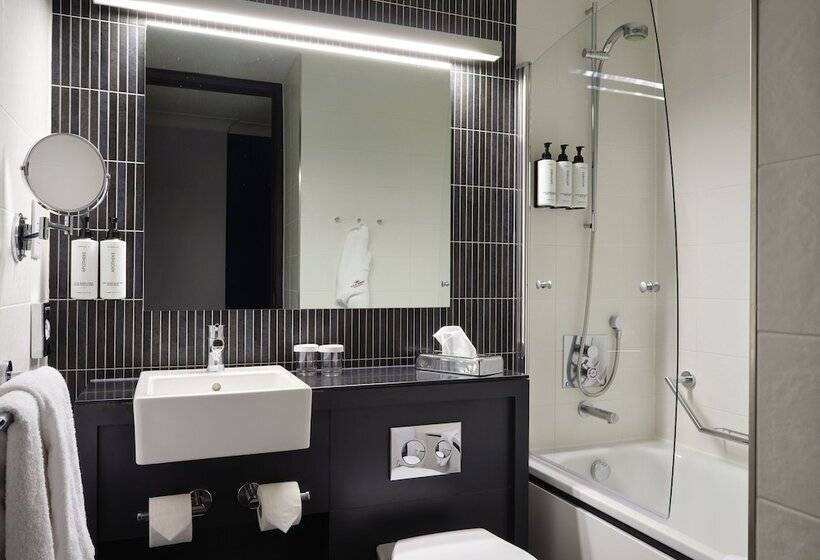 Номер Стандарт, Crowne Plaza Birmingham City, An Ihg