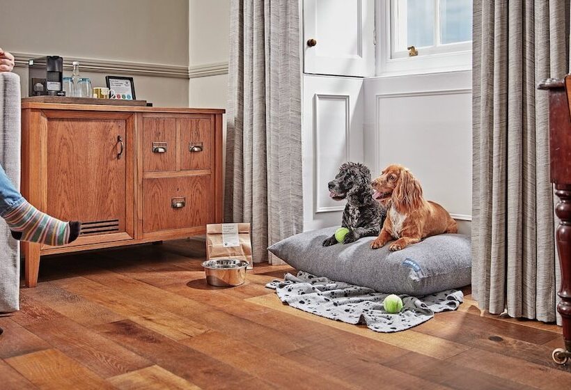 Номер Deluxe, Moonfleet Manor   A Luxury Family