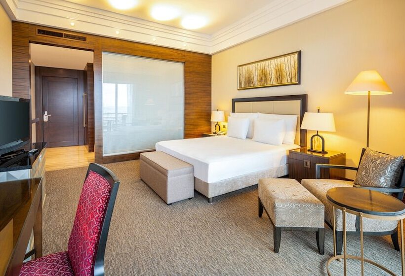 اتاق سوپریور, Celik Palace Convention Center Thermal Spa