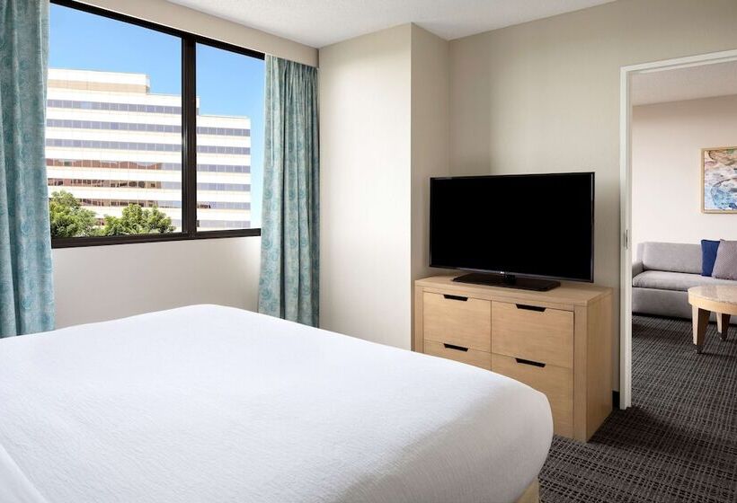 스탠다드 스튜디오 더블 침대, Embassy Suites By Hilton Tampa Airport Westshore