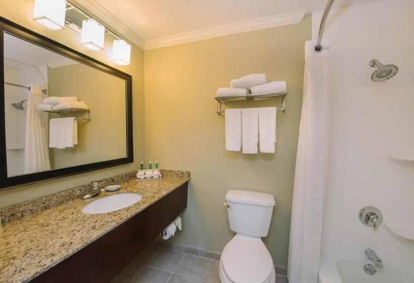 Номер Стандарт, Holiday Inn Express And Suites Merrimack, An Ihg