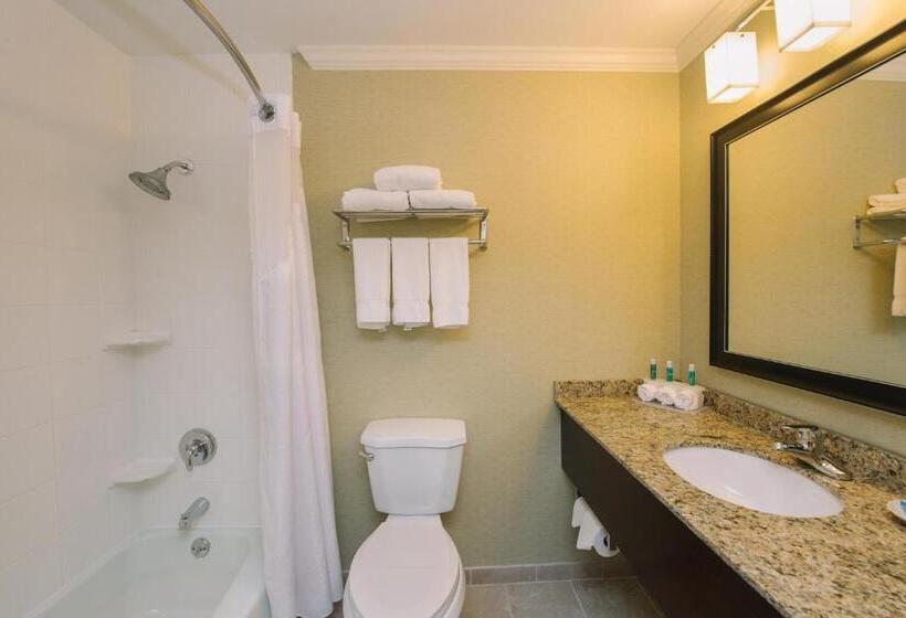 Люкс, Holiday Inn Express And Suites Merrimack, An Ihg