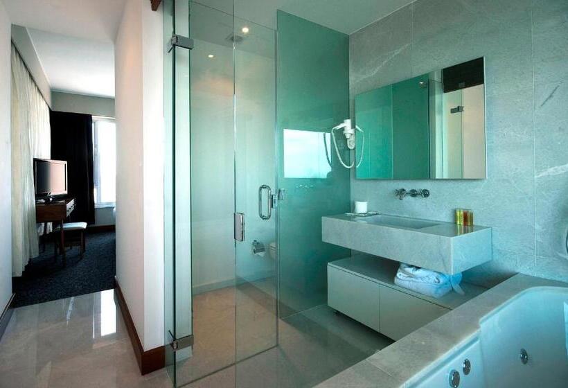 景色の見えるスイートルーム, The Marmara Pera