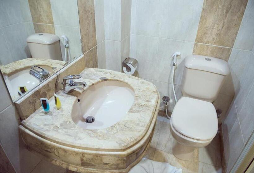 اتاق استاندارد, Salma Hotel Cairo