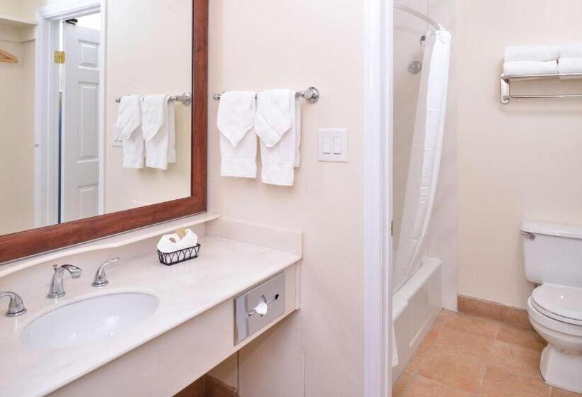 장애인을 위한 킹사이즈 침대 스탠다드 룸, Best Western Capistrano Inn