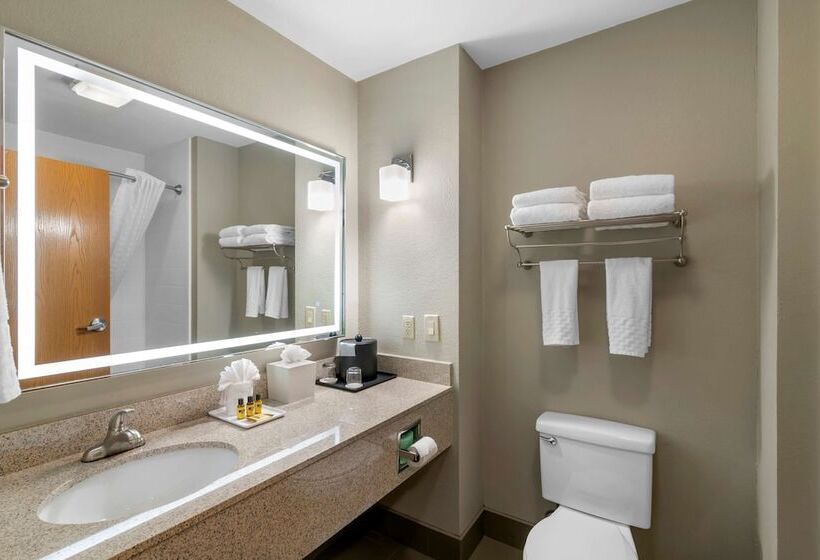 套房, Best Western Plus Denton Inn & Suites