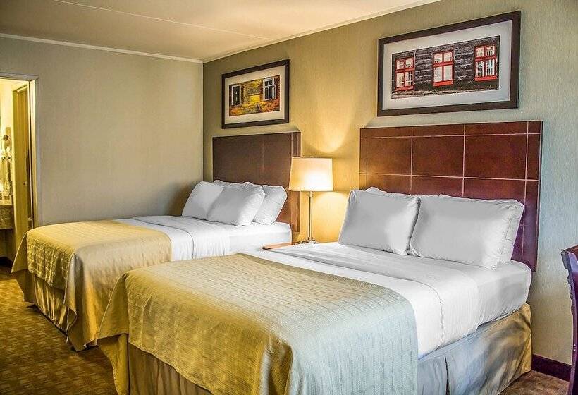 스탠다드 룸 더블 침대 2개, Quality Inn
