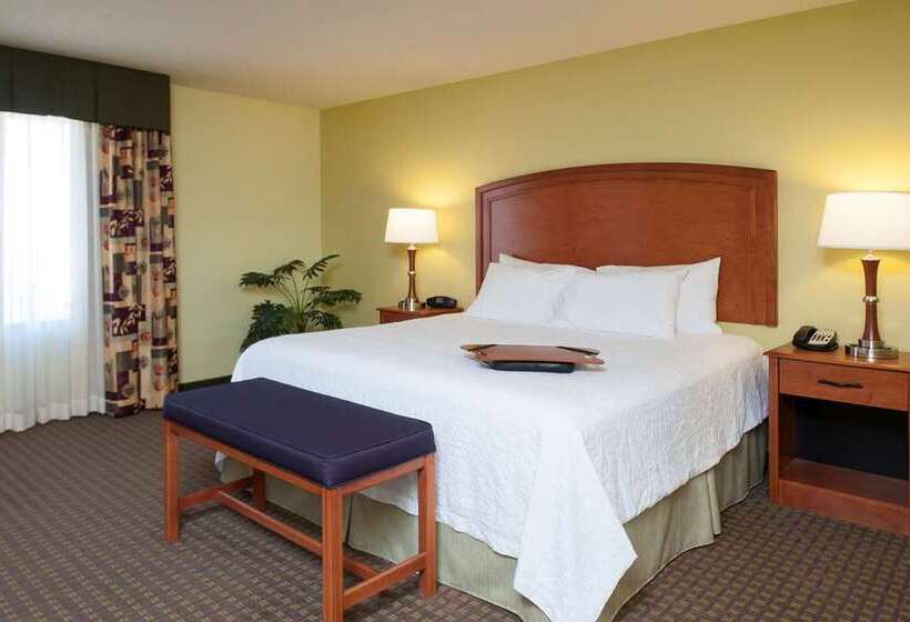 חדר סטנדרט עם מיטת קינג, Hampton Inn Key West Fl