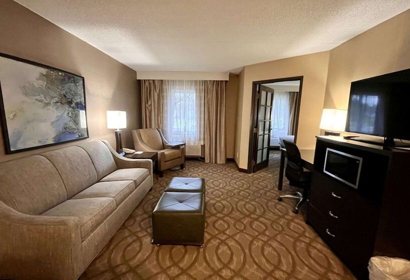 스위트, Best Western Okemos/east Lansing Hotel & Suites