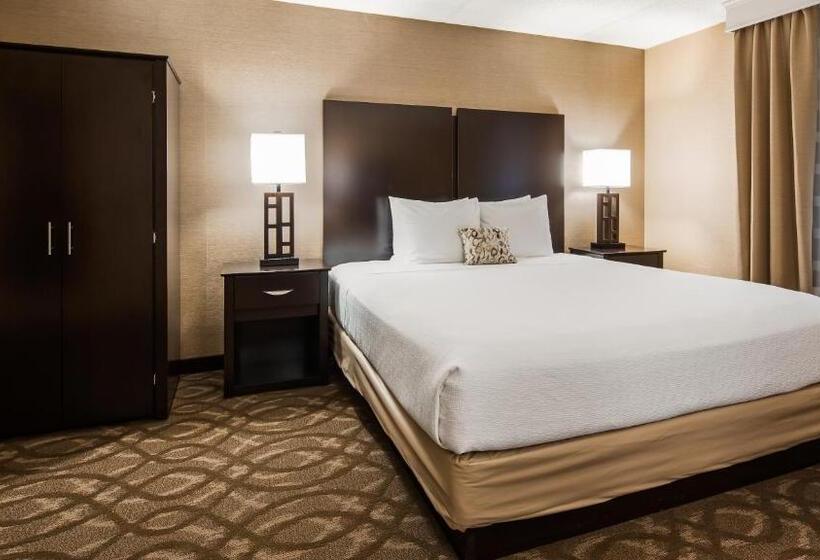 스탠다드 룸 킹사이즈 침대, Best Western Okemos/east Lansing Hotel & Suites