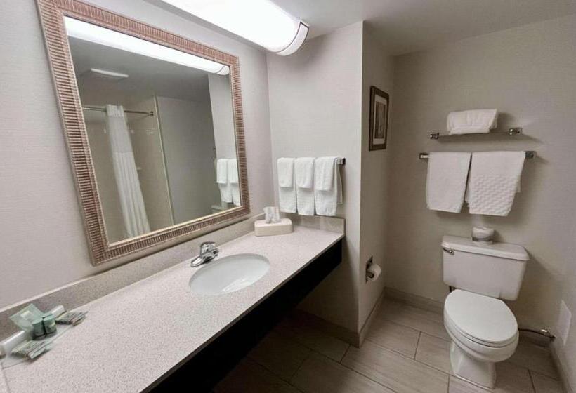 스탠다드 룸 킹사이즈 침대, Best Western Okemos/east Lansing Hotel & Suites