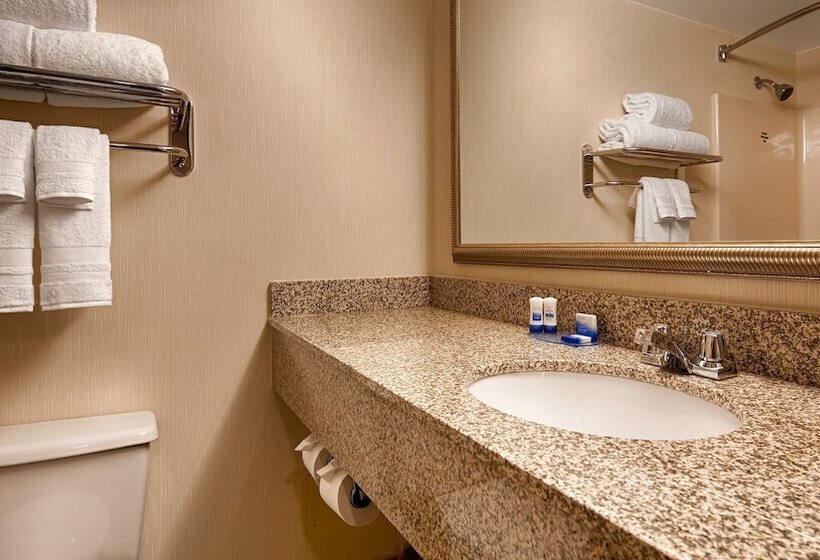 豪华房间, Best Western Royal Plaza Hotel And Trade Center