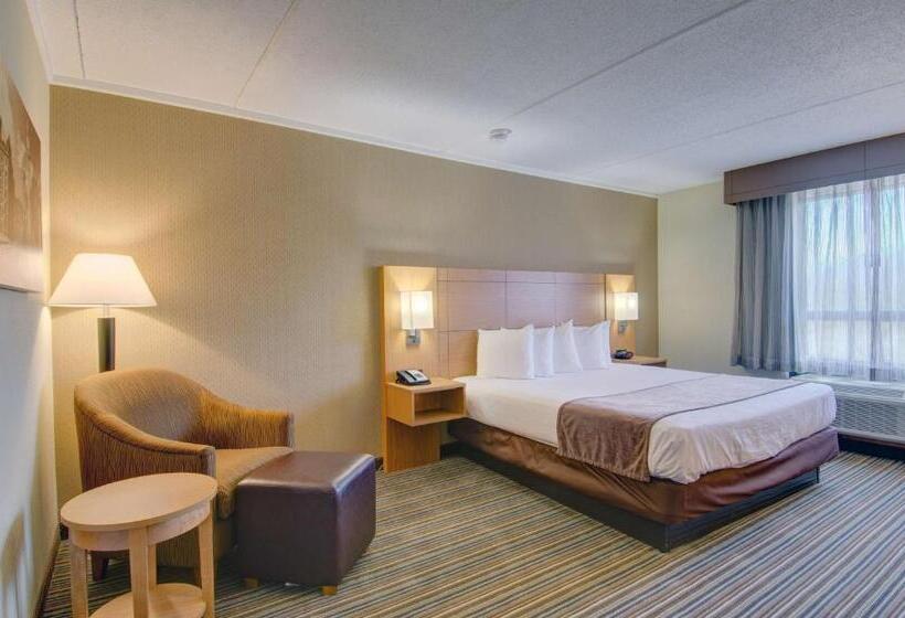 带1个卧室的公寓, Best Western Royal Plaza Hotel And Trade Center