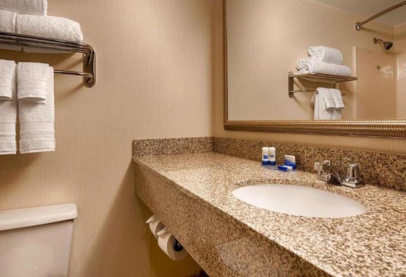 豪华房间, Best Western Royal Plaza Hotel And Trade Center