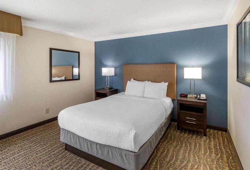 Люкс Адаптированный для Инвалидов, Best Western Town & Country Lodge