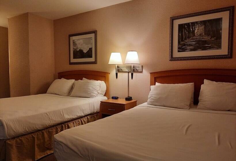 스탠다드 룸, Rivertree Inn & Suites