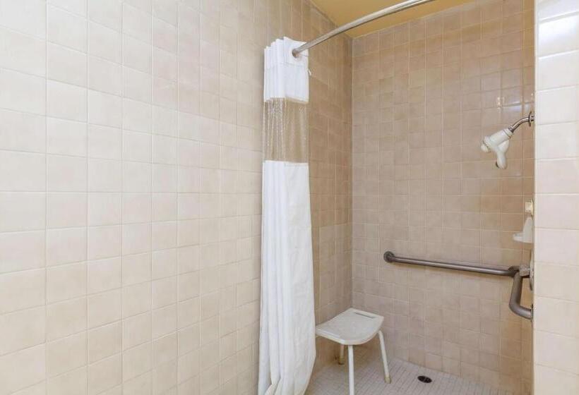 适合残疾人士使用的单人标准间, Americas Best Value Inn & Suites Bakersfield Central