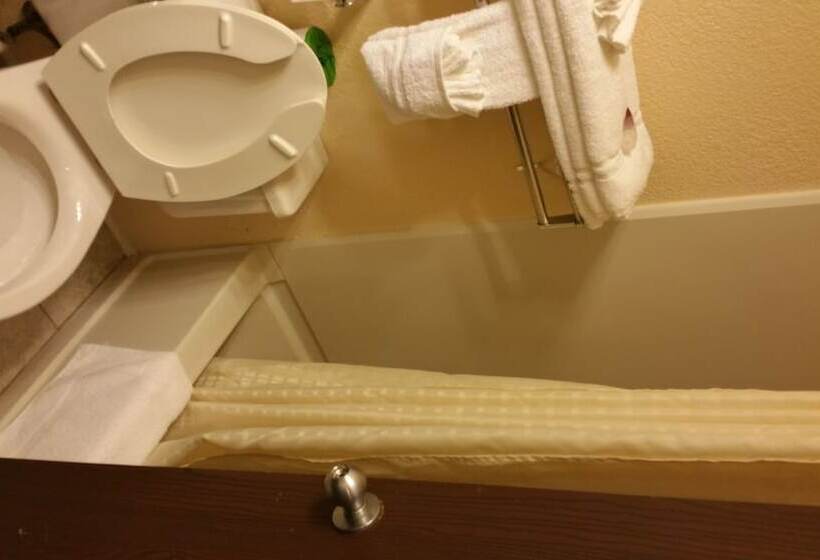 小型套房, Americourt Hotel And Suites   Elizabethton
