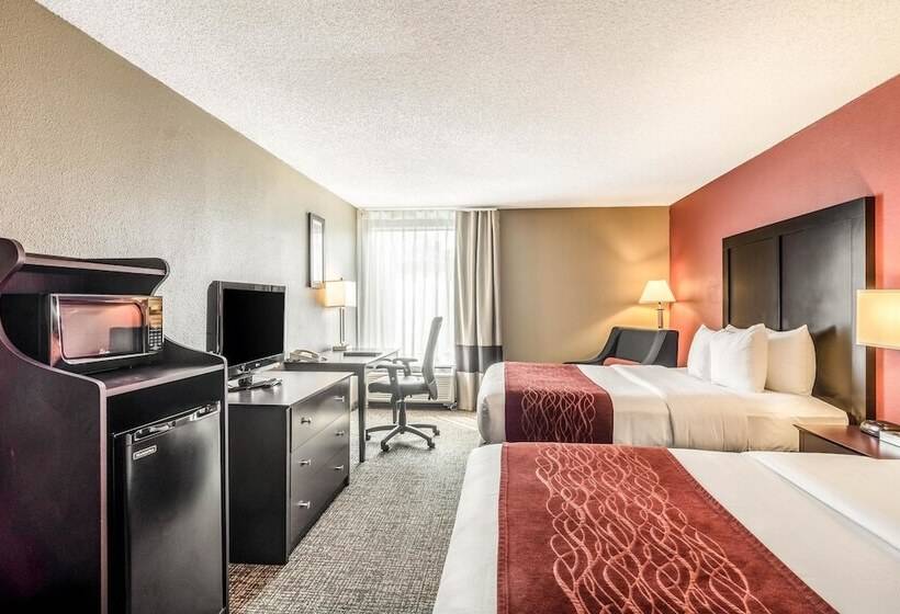 Camera Standard 2 Letti Matrimoniali, Comfort Inn Convention Centerchicago O Hare Airport