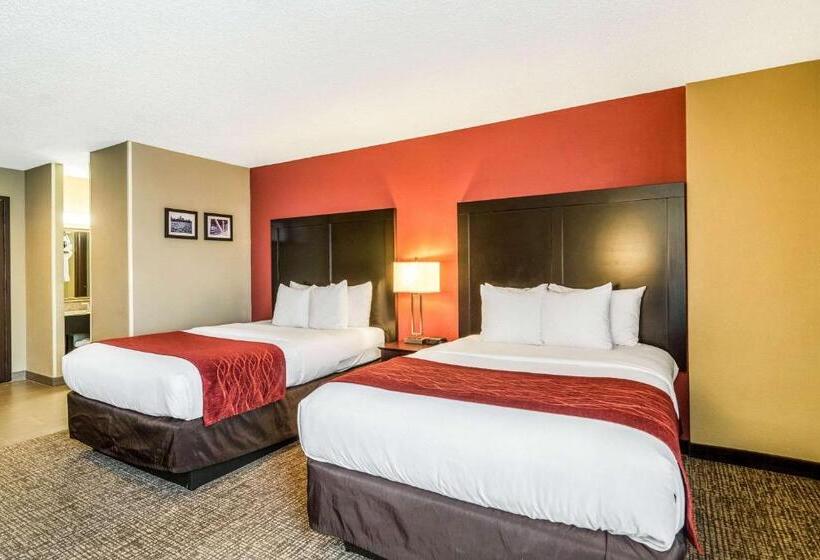 Camera Standard 2 Letti Matrimoniali, Comfort Inn Convention Centerchicago O Hare Airport