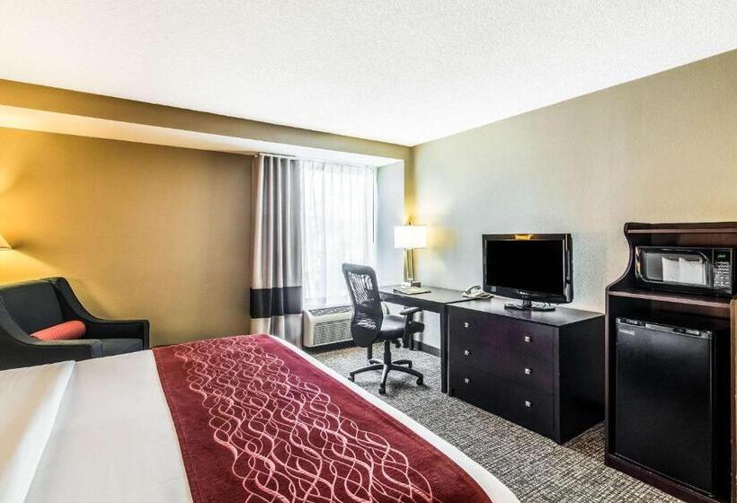 Camera Standard, Comfort Inn Convention Centerchicago O Hare Airport