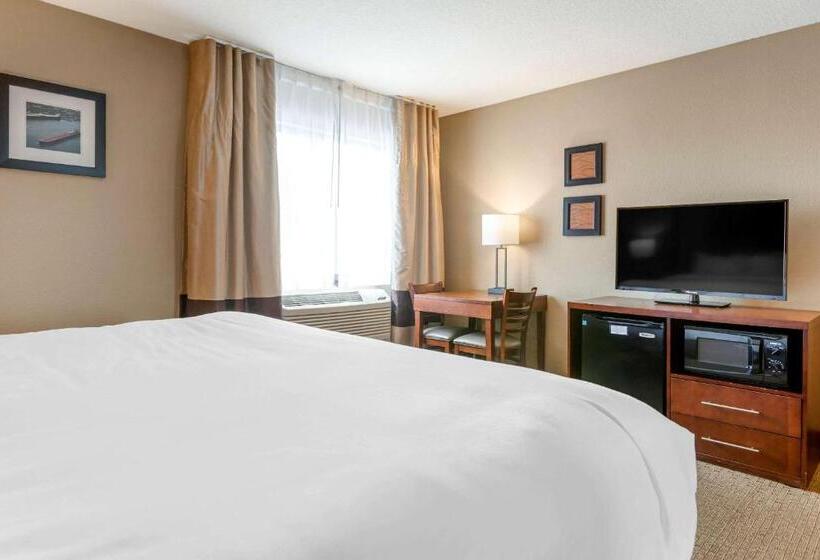 اتاق استاندارد با تخت بزرگ, Comfort Inn
