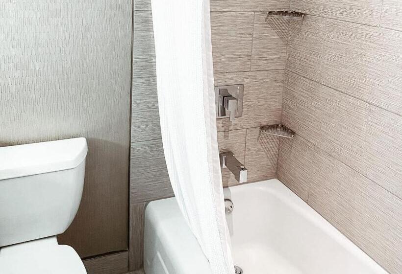Standard Værelse Tilpasset til Handicappede, Crowne Plaza Chicago Sw   Burr Ridge, An Ihg