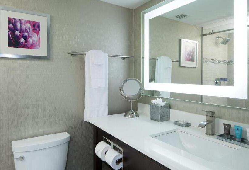 Standard Værelse King-seng Tilpasset til Handicappede, Crowne Plaza Chicago Sw   Burr Ridge, An Ihg