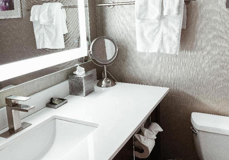 Suite m. Hydromassage, Crowne Plaza Chicago Sw   Burr Ridge, An Ihg