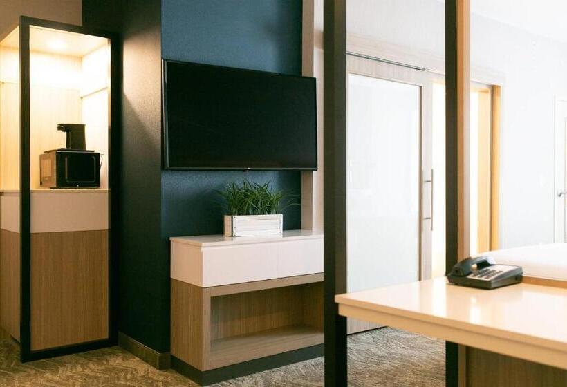 Suite Cama King, Springhill Suites By Marriott South Bend Notre Dame Area