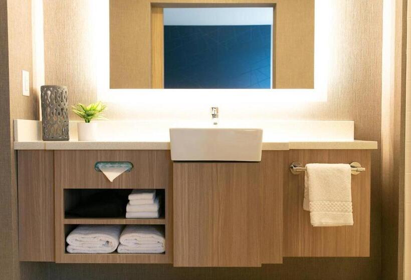 Suite, Springhill Suites By Marriott South Bend Notre Dame Area