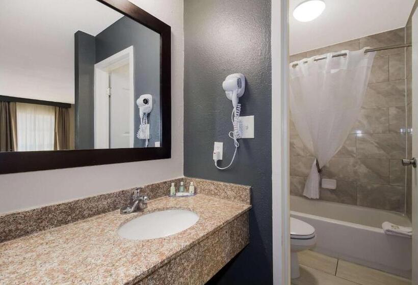 Четырехместный Номер Стандарт, Quality Inn Coliseum