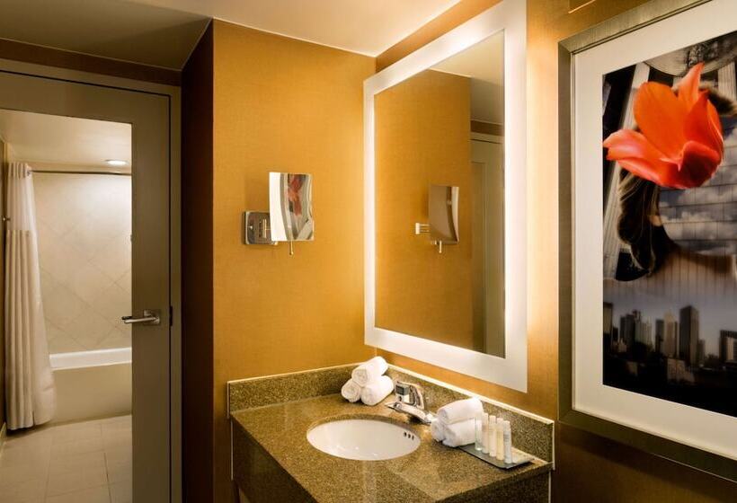 身障者適用スタンダードルーム, Doubletree By Hilton Dallascampbell Centre
