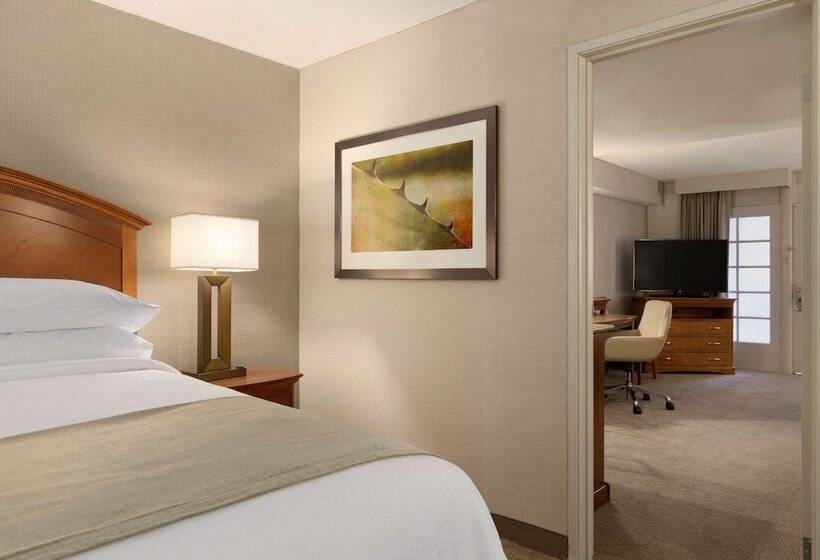 סוויטה מותאמת לאדם עם מוגבלויות, Embassy Suites By Hilton El Paso