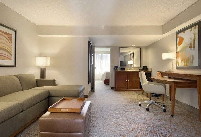 סוויטה מותאמת לאדם עם מוגבלויות, Embassy Suites By Hilton El Paso