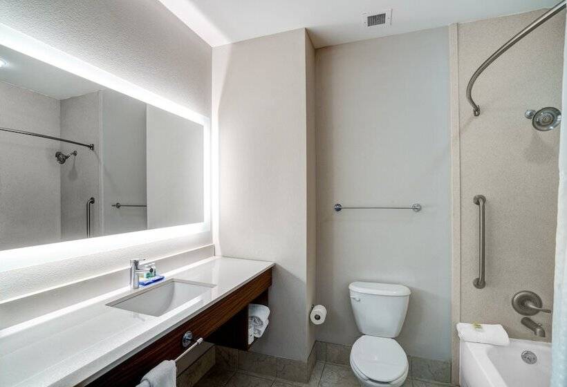 스탠다드 룸, Holiday Inn Express Hotel Winona North, An Ihg