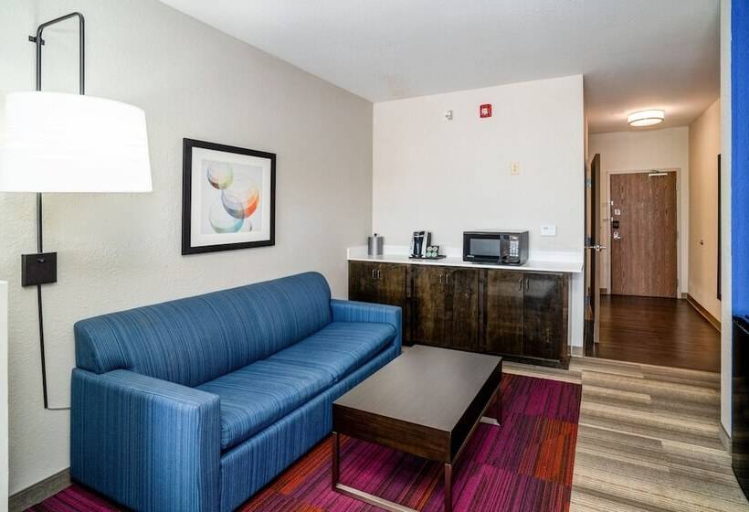 스위트, Holiday Inn Express Hotel Winona North, An Ihg