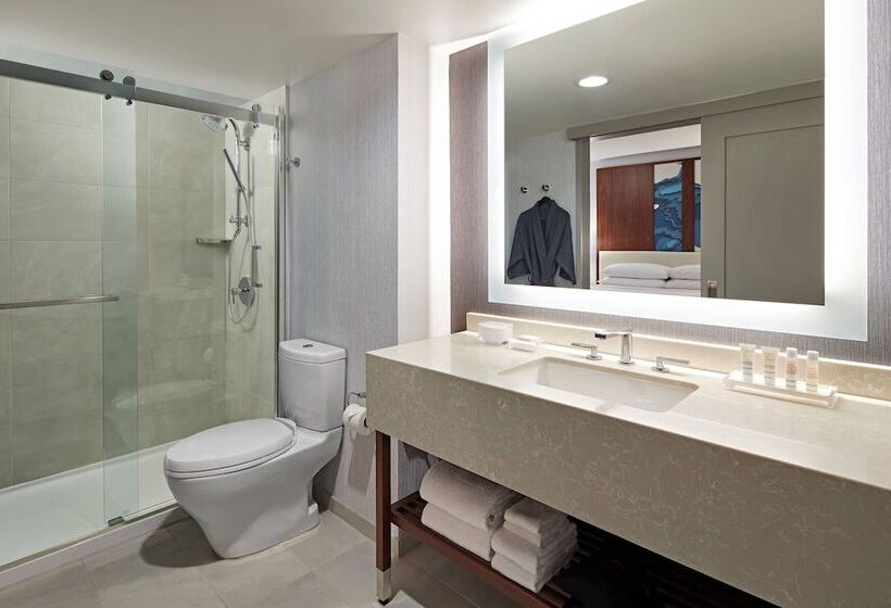 Люкс, San Mateo Marriott San Francisco Airport