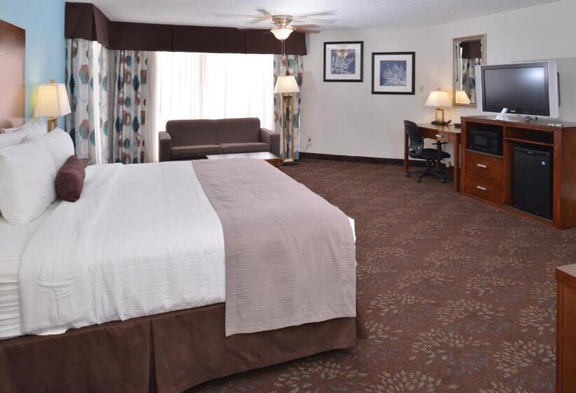 身障者適用キングサイズベッドルーム, Best Western Plus El Paso Airport Hotel & Conference Center