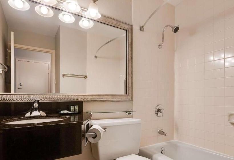 스탠다드 룸 킹사이즈 침대, Best Western Tomah