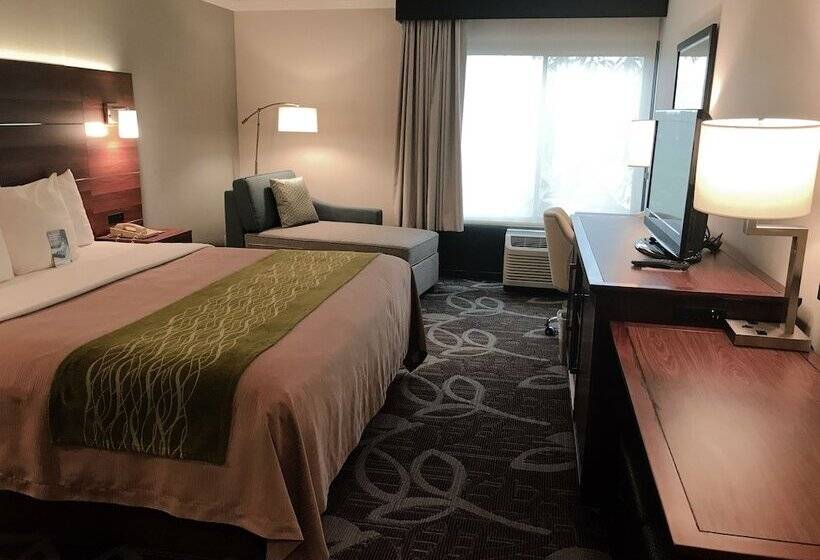 Standard-invahuone King-vuode, Comfort Inn Anaheim Resort