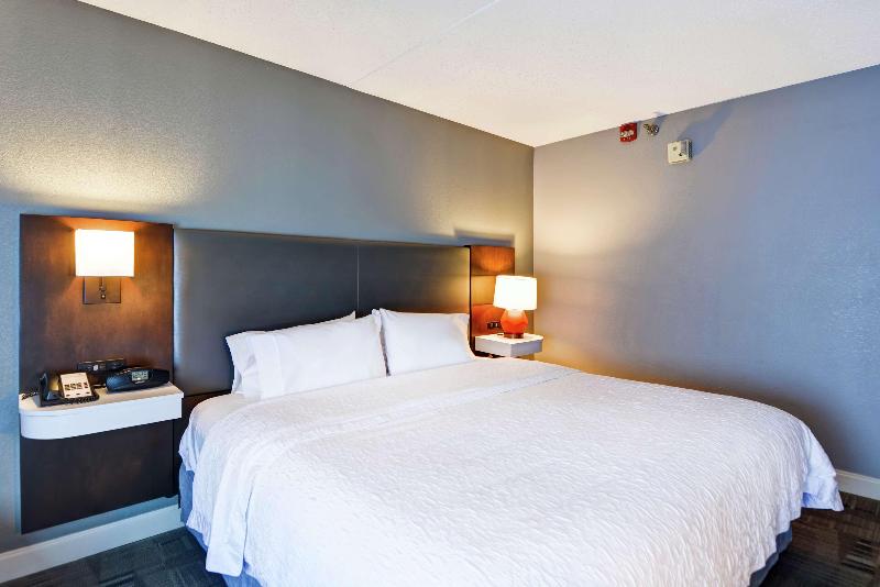 스탠다드 룸 킹사이즈 침대, Hampton Inn Cincinnati Airport South