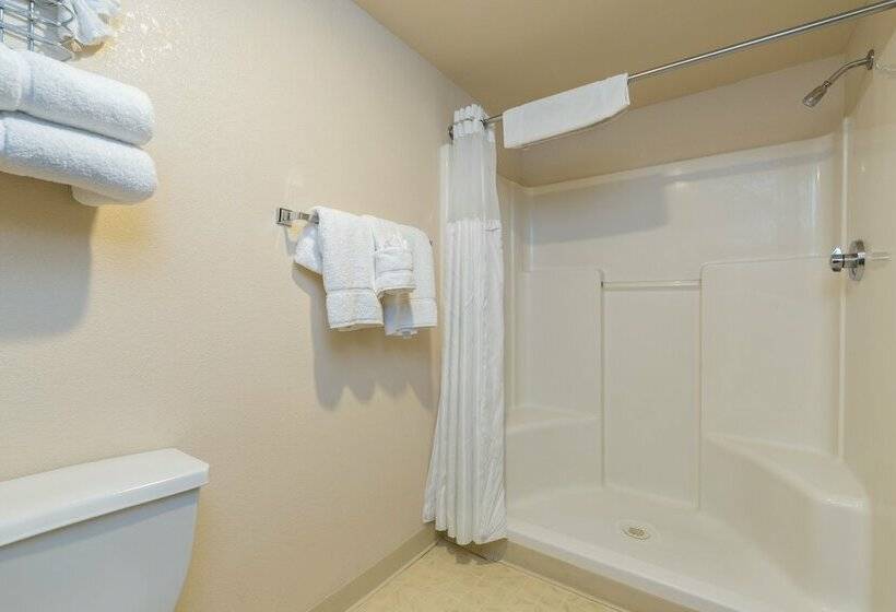 带2个双人床的标准工作室, Hoover Dam Lodge
